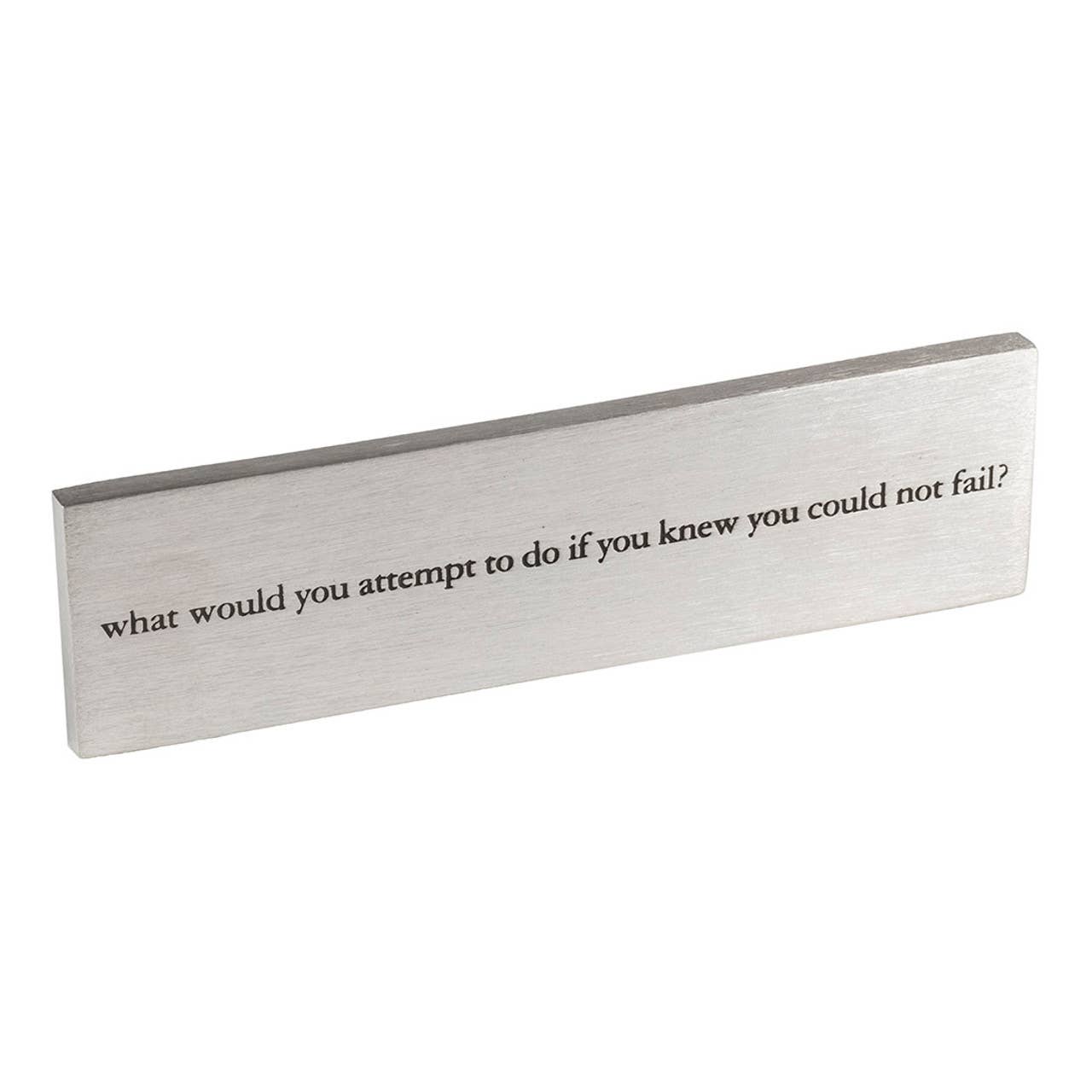 What Would You Do Paperweight