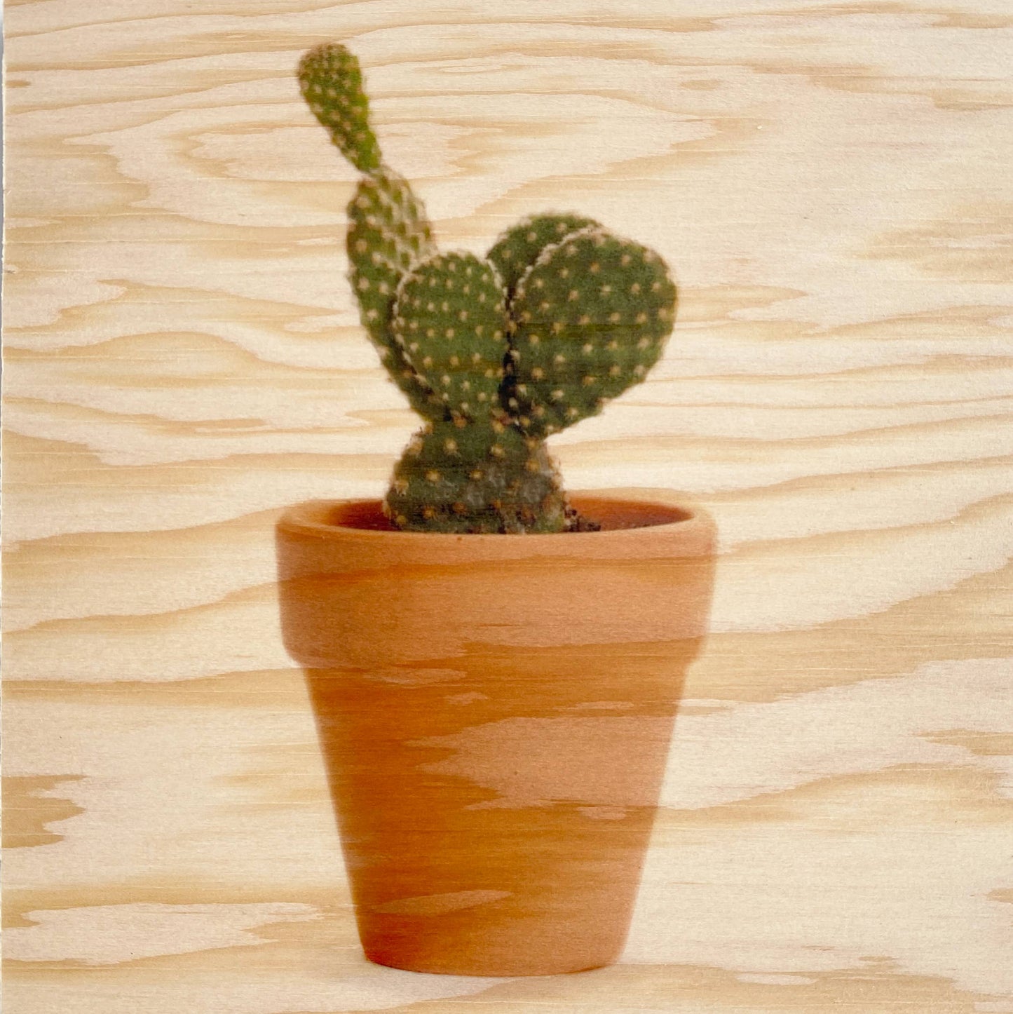 3x3 MINI CACTUS 2 Wood Print