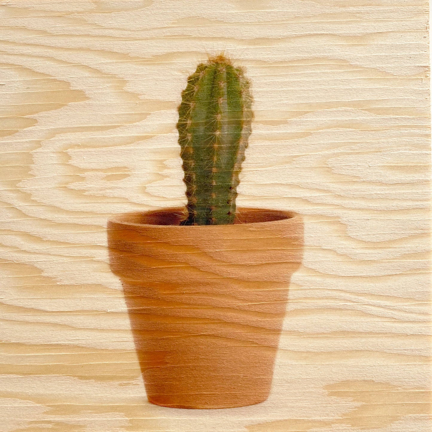 3x3 MINI CACTUS Wood Print