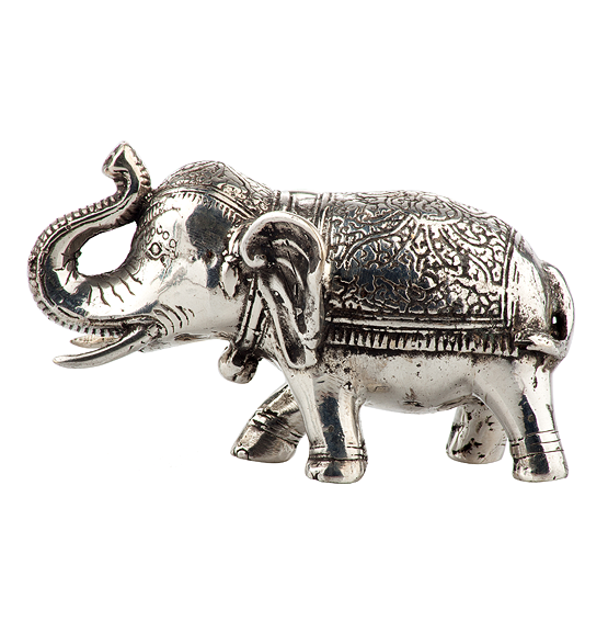 Shiny Little Elephant