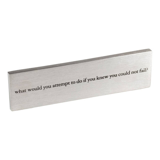 What Would You Do Paperweight